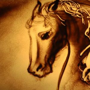 Cheval - Lorène Bihorel