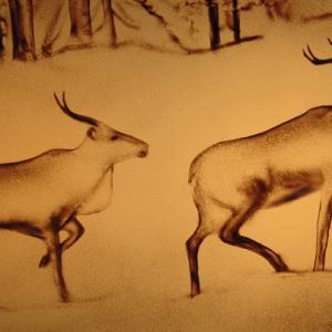 Les rennes - Lorène Bihorel